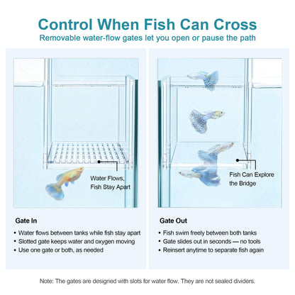 BaoZqua Two-Tank Aquarium Bridge, Negative Pressure Fish Tank Kit