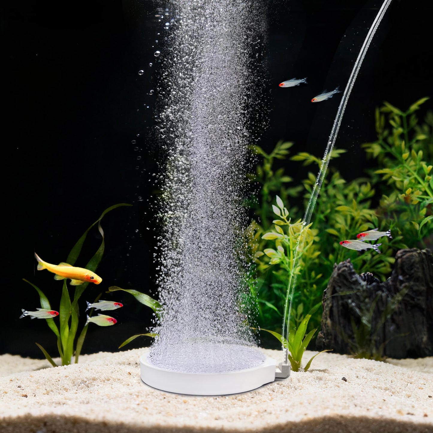Air Stones for Aquariums, Aquarium Bubbler Fish Tank Oxygen Diffuser, Stainless Steel Nozzle Nano Atomization Disc for Freshwater Saltwater Hydroponics DWC Pond, 20-75 Gallon Tank