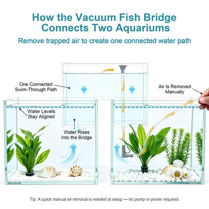BaoZqua Two-Tank Aquarium Bridge, Negative Pressure Fish Tank Kit