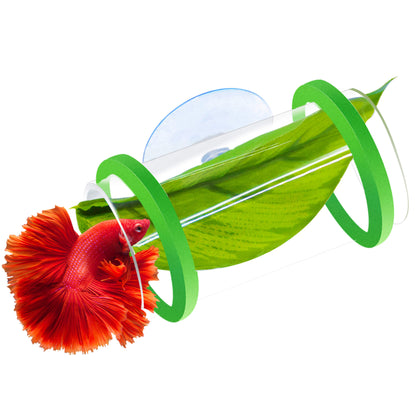 BaoZqua Betta Fish Hammock & Tunnel Hideout Bed Toy, Floating or Wall-Mounted Clear Acrylic Tube for Rest & Play, Betta Fish Tank Accessories with Suction Cup and Floating Ring for Aquarium Decoration