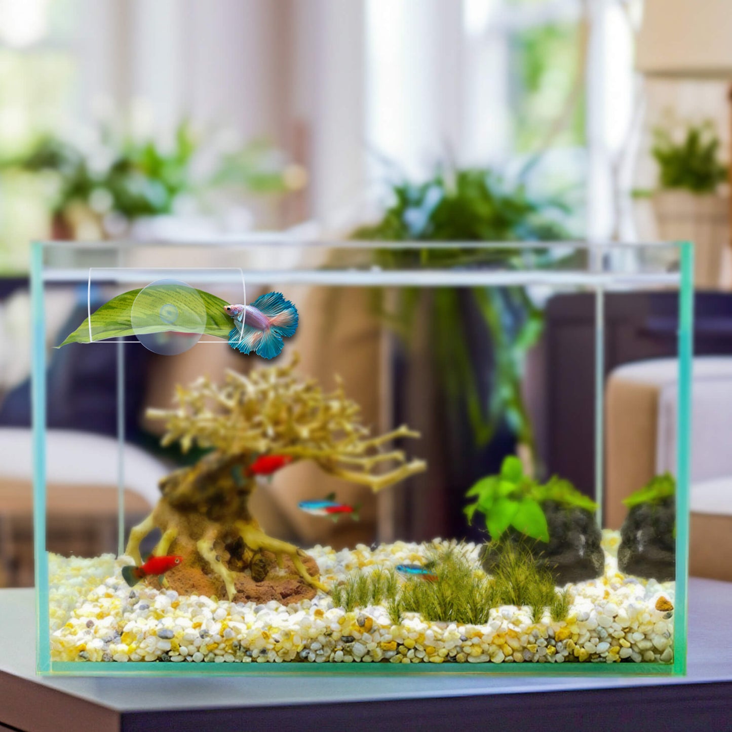 BaoZqua Acrylic Betta Hammock Tunnel, Betta Fish Tank Accessories & Aquarium Tunnel Decor, Fish Tank Hideout with Soft Faux Leaf Hammock, Beta Bed Resting Spot for Bettas