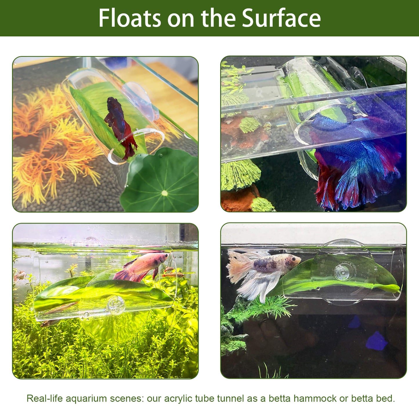 BaoZqua Acrylic Betta Hammock Tunnel, Betta Fish Tank Accessories & Aquarium Tunnel Decor, Fish Tank Hideout with Soft Faux Leaf Hammock, Beta Bed Resting Spot for Bettas